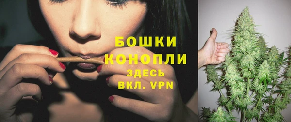 круглые Бронницы