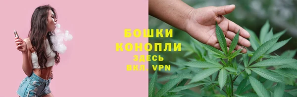гидра Бугульма
