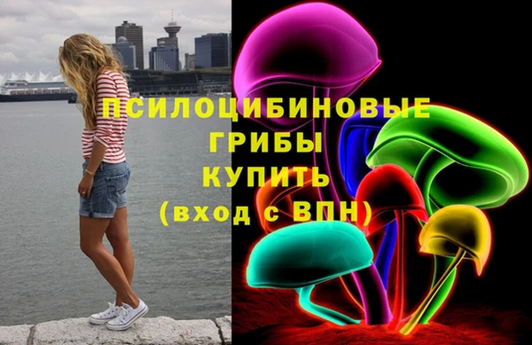 гидра Бугульма