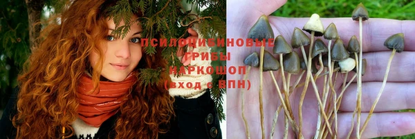 гидра Бугульма
